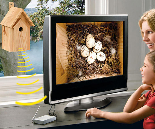 Nest Box with IR Camera (Image courtesy Pro-Idee)