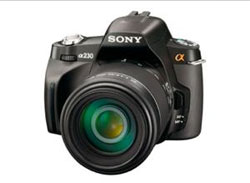 sonya230-sb
