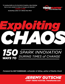 Exploiting-Chaos-Cover-230