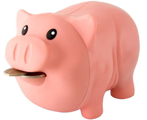 Kind Of Pig