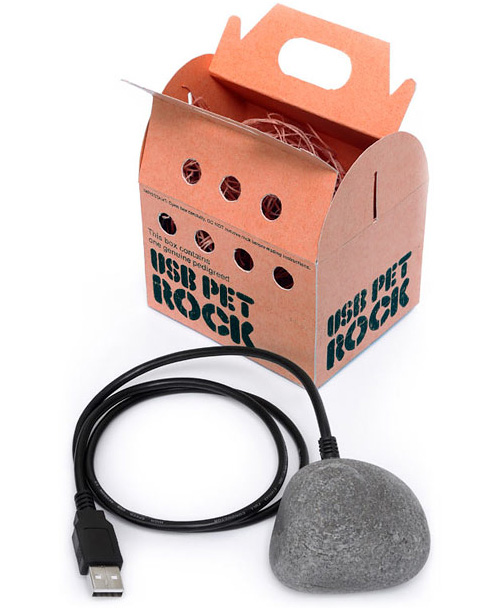 usb_pet_rock USB Pet Rock (Image courtesy ThinkGeek)
