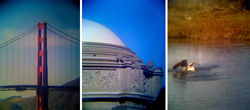 Phone-O-Scope Samples (Images courtesy Bhautik Joshi)