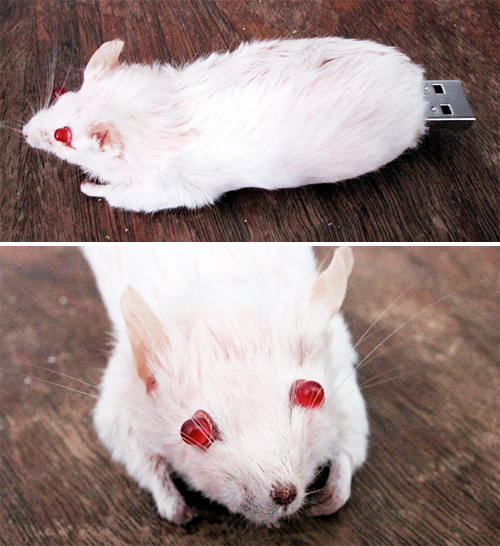 Taxidermied Mouse USB Flash Drive (Images courtesy Zackaholic)