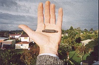 g-spot_in_hand