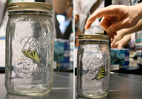 chouchou_butterfly ChouChou Butterfly (Image courtesy the Japan Trend Shop)
