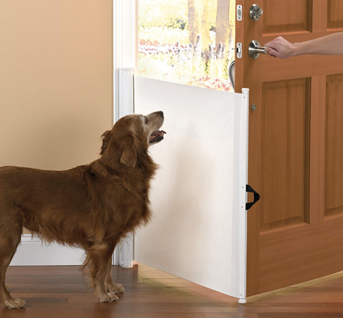 escape_preventer The Dog Escape Preventer (Image courtesy Hammacher Schlemmer)