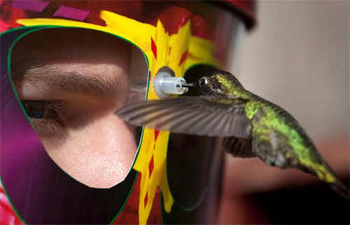 eYe2eYe Wearable Hummingbird Feeder (Image courtesy Doyle Doss)