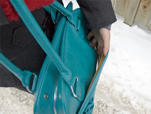 Jo Totes Stylish Rose Camera Bag (Image property OhGizmo!)