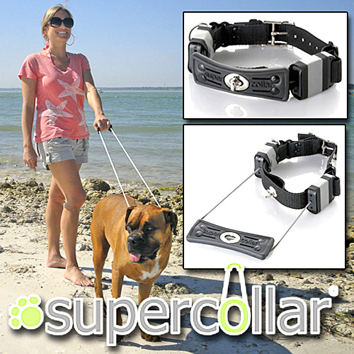 Super Collar (Image courtesy Taylor Gifts)