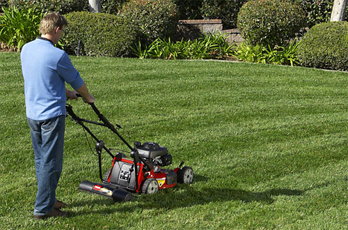 toro_striper Toro's Lawn Striping System (Image courtesy Toro)