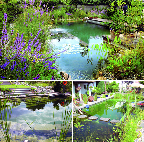 biotop natural pools like a billabong in your backyard ohgizmo biotop natural pools like a billabong in your backyard ohgizmo