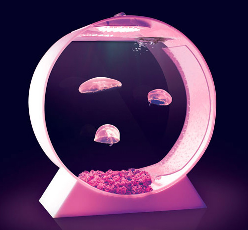 jellyfish_tank Desktop Jellyfish Tank (Image courtesy Jellyfish Art)