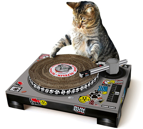 Cat Scratch (Image courtesy SUCK UK)