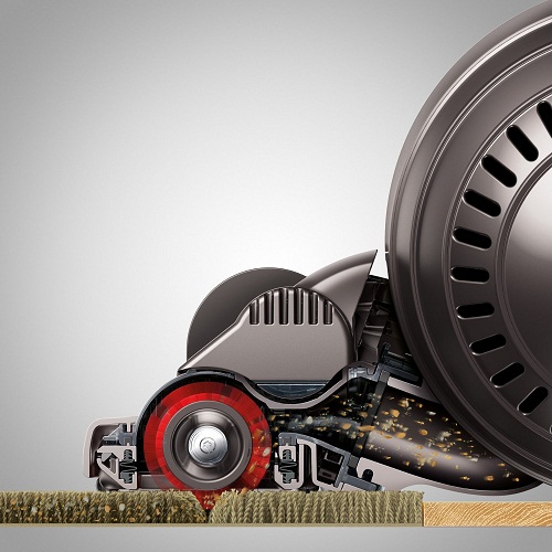 Dyson-Animal-1