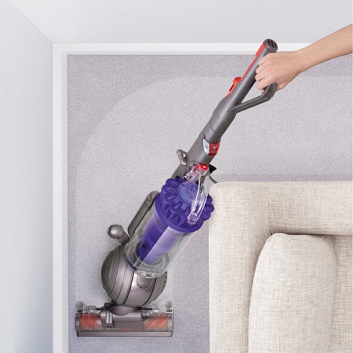 Dyson-Animal
