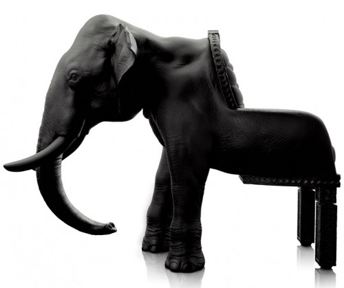 elephant01