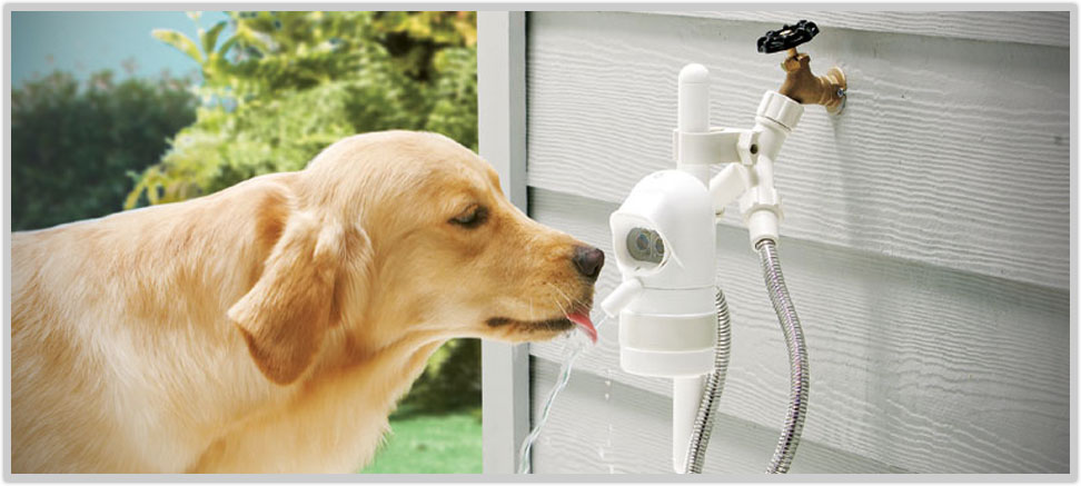 Funny Facebook Dog Water Dispenser Videos Funny Facebook Dog Water Dispenser Videos