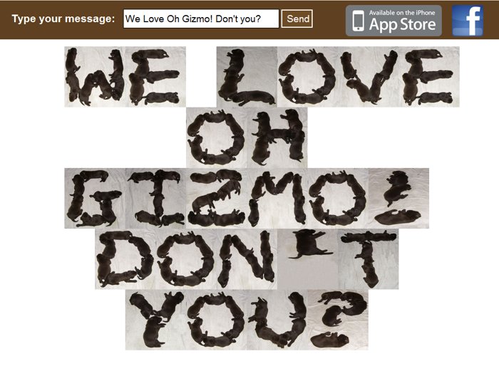Puppytext Site