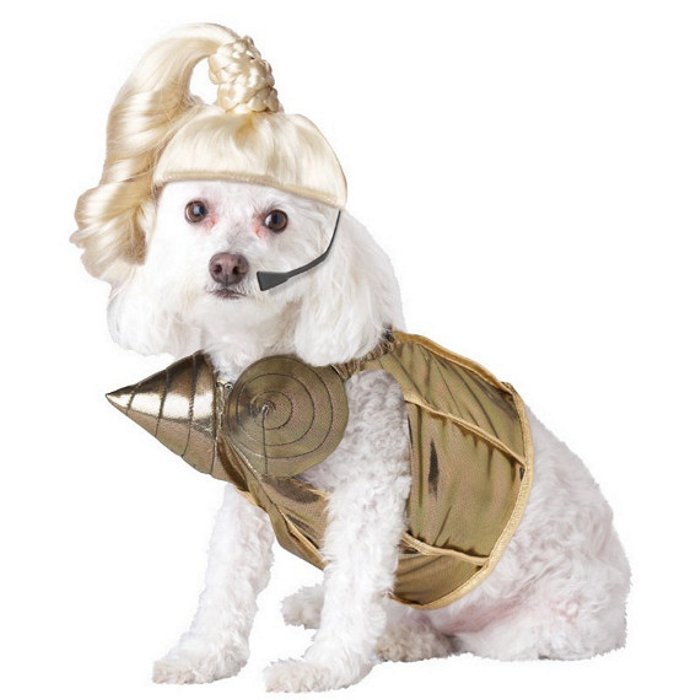 Slutty Halloween Costumes