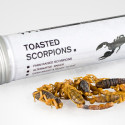Toasted Scorpions, Anyone?