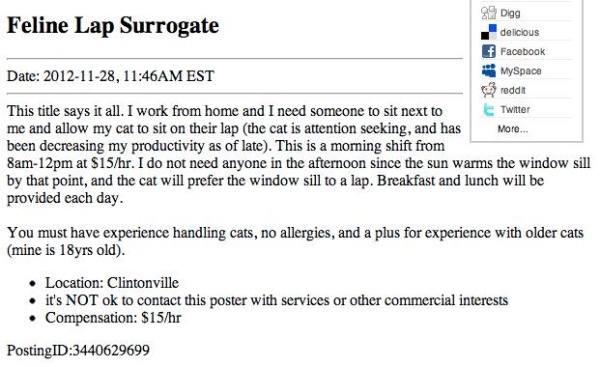 Feline Lap Surrogate