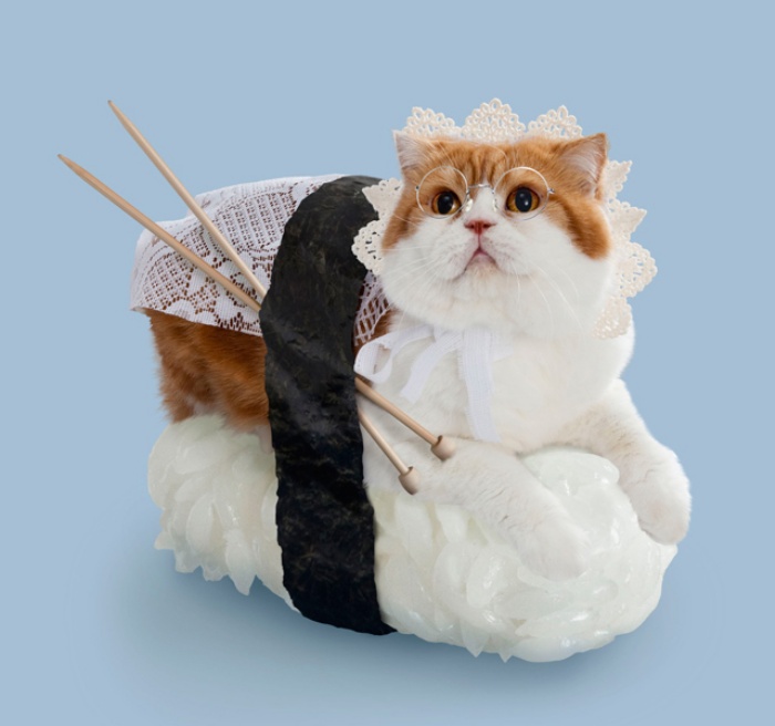 Sushi Cats0