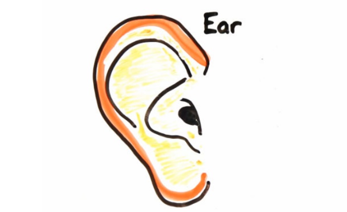 Ear Age