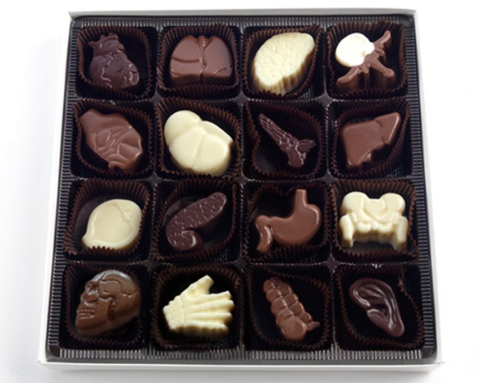 Organ Chocolate