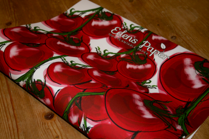 Plantable Wrapping Paper2