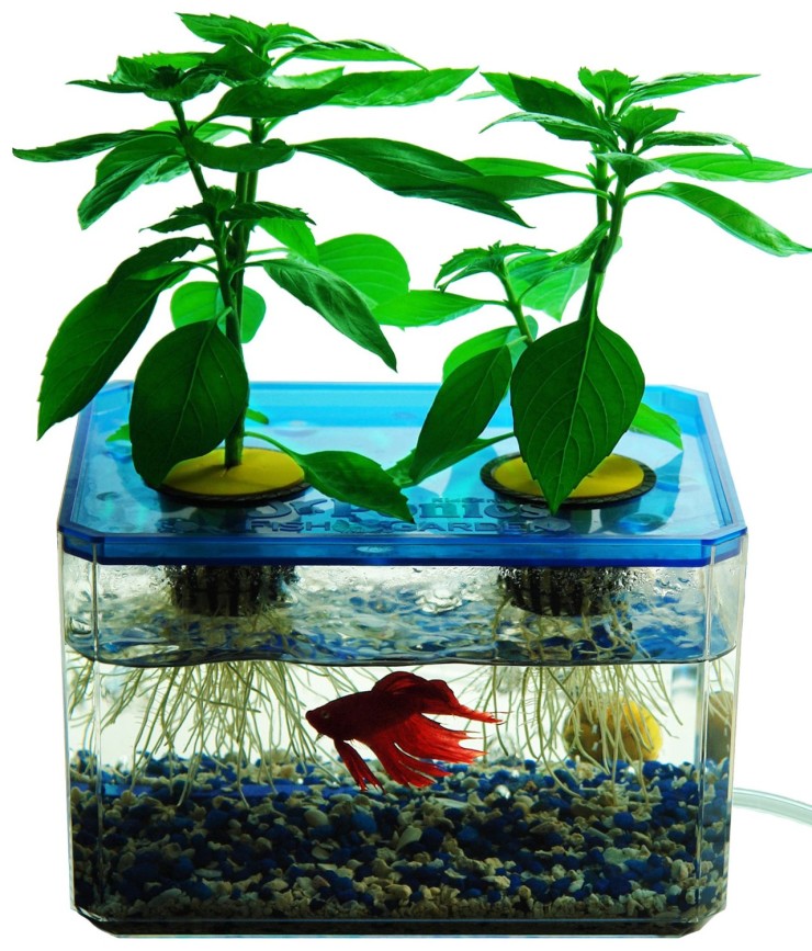 http://www.ohgizmo.com/wp-content/uploads/2013/12/hydroponics-set-1-740x867.jpg