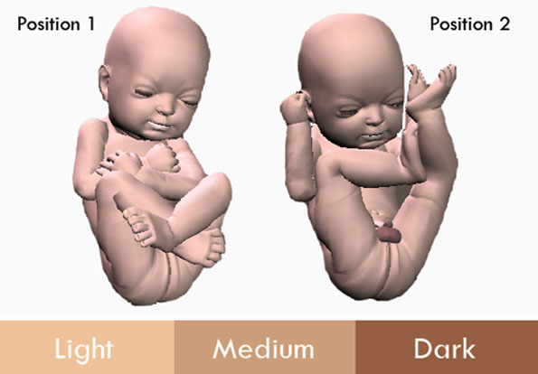3d-printed-fetus-4