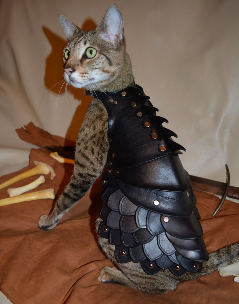 Cat Battle Armor Made From Leather OhGizmo!