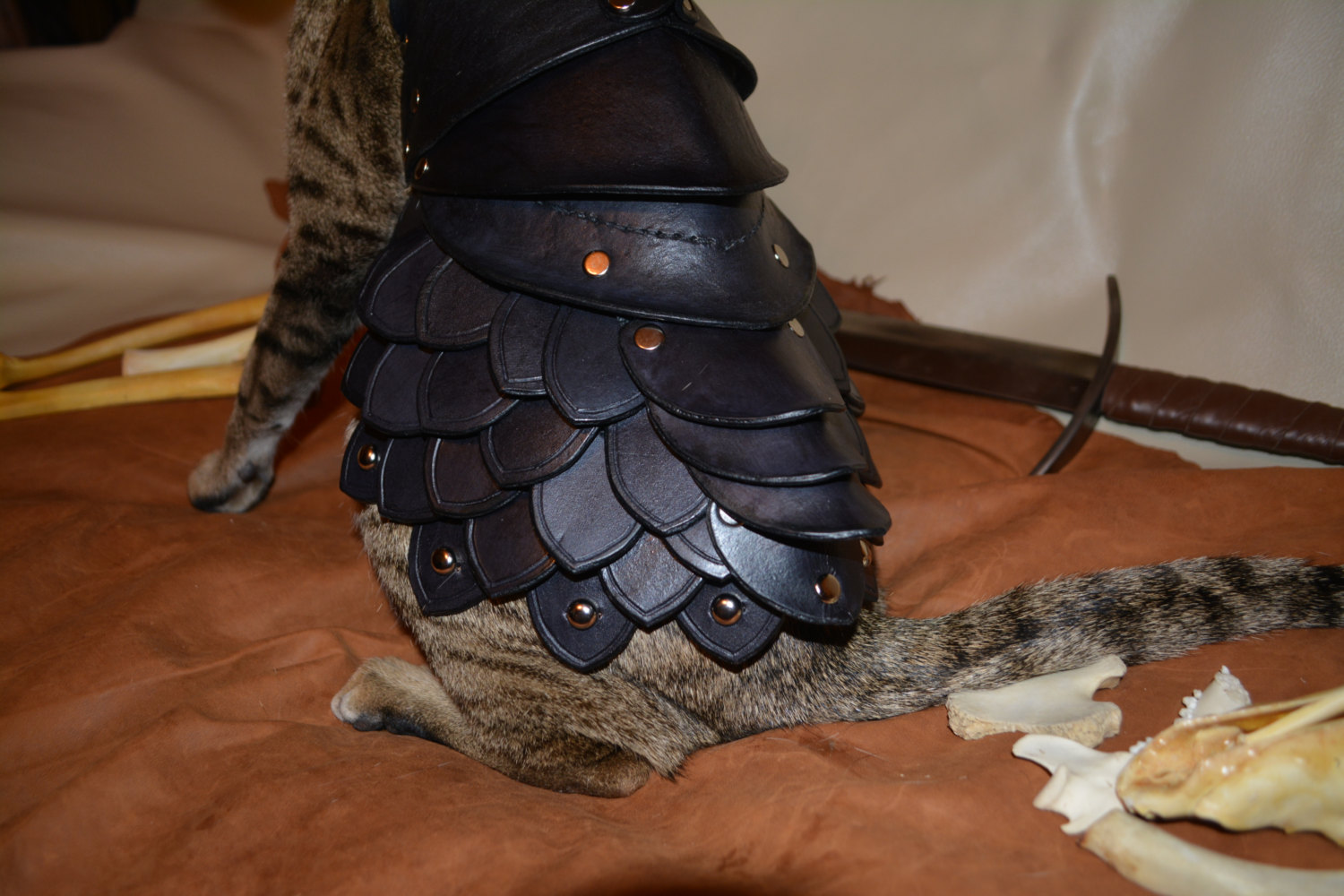 Cat Battle Armor Made From Leather OhGizmo!