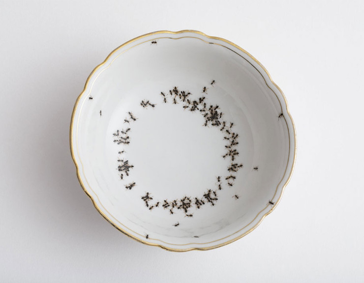 porcelain-dishes-covered-in-painted-ants-11