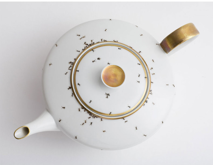 porcelain-dishes-covered-in-painted-ants-12