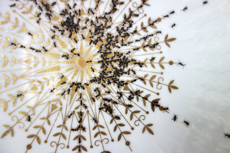porcelain-dishes-covered-in-painted-ants-5