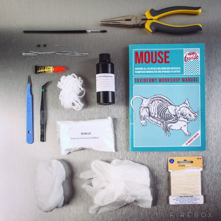 mouse-taxidermy-1