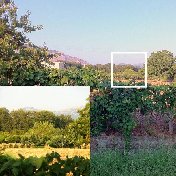 8X Telephoto