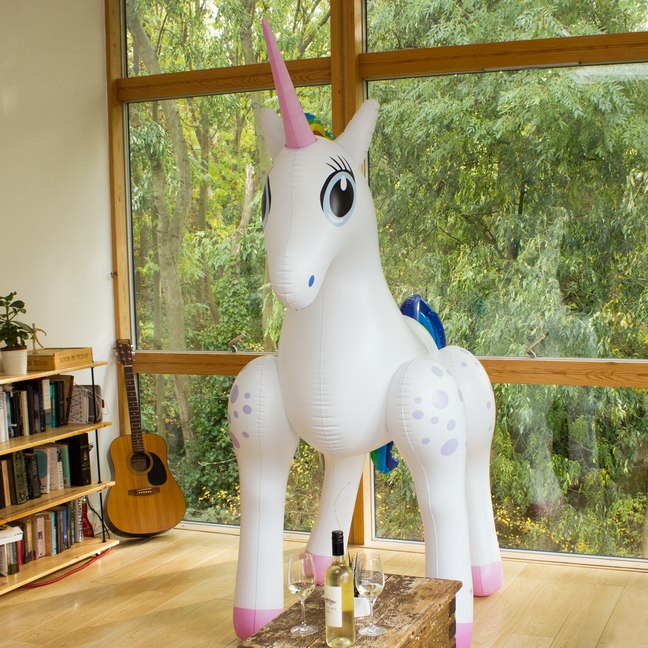 giant-inflatable-unicorn_31538
